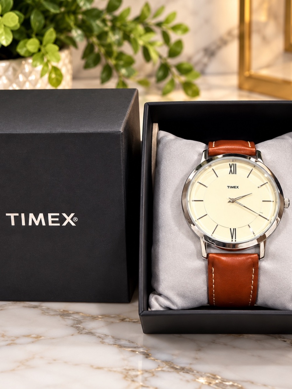 Timex Watch